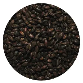 slod-barwiacy-05kg-strzegom