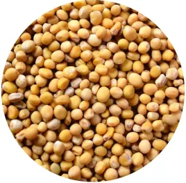 gorczyca-biala-ziarno-500g-domowa-musztarda