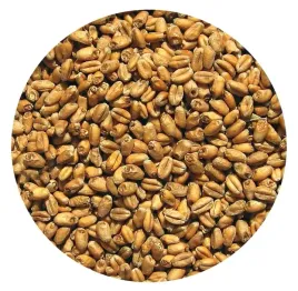 slod-pszeniczny-25-kg-viking-malt
