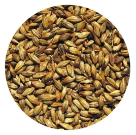 slod-karmelowy-30-viking-malt-5kg