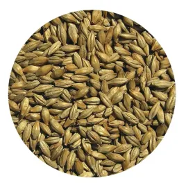 slod-wedzony-torfem-viking-malt-1kg