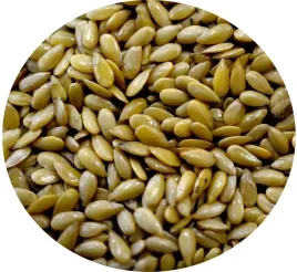 zloty-len-1000g-siemie-lniane-zlociste
