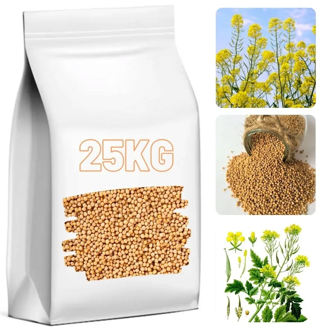 gorczyca-biala-ziarno-dobra-jakosc-25kg-zielonka-dla-zwierzat-zielony-nawoz-kod-producenta-10086