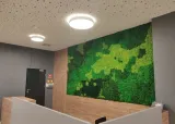 panel-mech-chrobotek-50x50cm-na-wymiar-stan-nowy