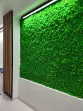 panel-mech-chrobotek-50x50cm-na-wymiar-stan-nowy