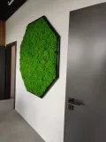 panel-mech-chrobotek-50x50cm-na-wymiar-waga-z-opakowaniem-3-kg