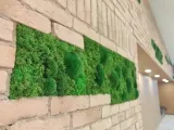 panel-mieszany-50x50cm-na-wymiar-waga-z-opakowaniem-6-kg