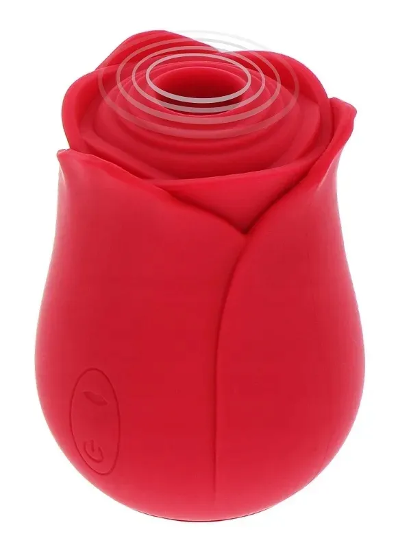 ravishing-rose-stymulator-ssacy-wibrator-roza-usb