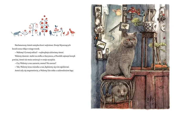 nocny-kotek-stan-nowy