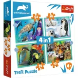 trefl-puzzle-4w1-34382