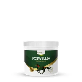 horseline-boswellia-seratta-500g-msm-dla-konia