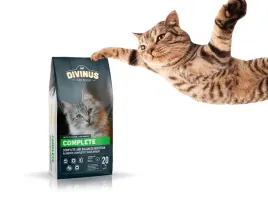 divinus-cat-complete-20kg-sucha-karma-dla-kota