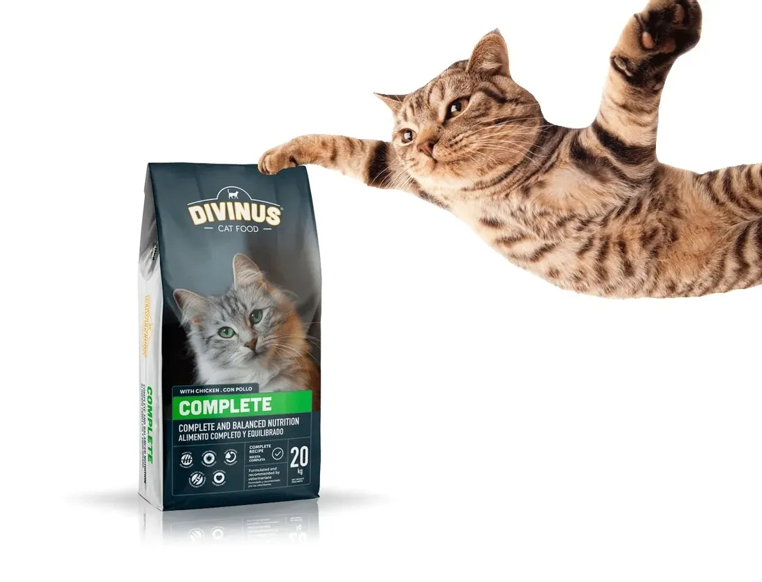 divinus-cat-complete-20kg-sucha-karma-dla-kota