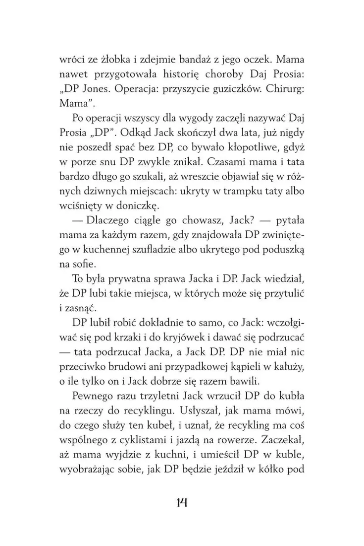 gwiazdkowy-prosiaczek-stan-nowy