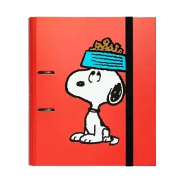 snoopy-segregator-2-ringi