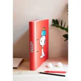 snoopy-segregator-2-ringi-stan-nowy