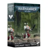 blood-angels-sanguinary-priest