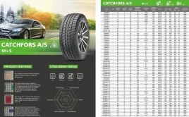 nowa-opona-lanvigator-catchfors-a-s-215-65r15-caloroczne