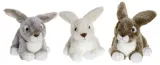 teddy-kompaniet-02899-plusz-krolik-20cm
