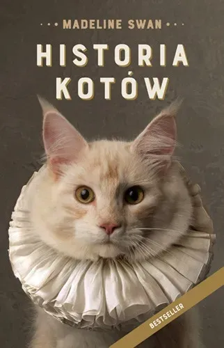 swan-historia-kotow
