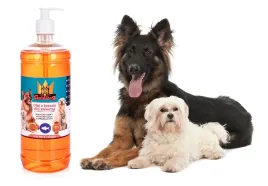 olej-z-lososia-1l-dla-psa-i-kota-golddog