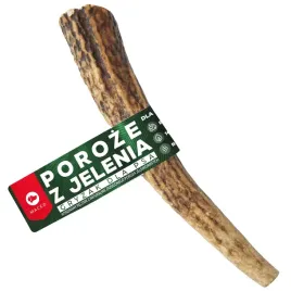 maced-poroze-jelenia-rozmiar-l-naturalny-gryzak