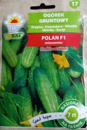 ogorek-polan-f1-tasma-7-m-70-nasion