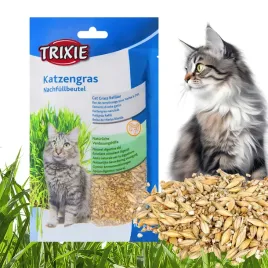 kocia-trawa-nasiona-w-torebce-przysmak-dla-kota