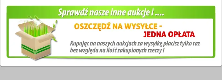 trawa-ozdobna-miscanthus-krater-pieknosc-roslina-w-postaci-sadzonka-w-pojemniku-1-2l-styl-ogrod-skalny-ogrod-nowoczesny-ogrod-srodziemnomorski-ogrod-japonski-ogrod-wiejski