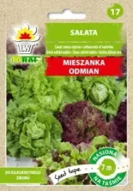 salata-mix-odmian-tasma-7-m-160-nasion
