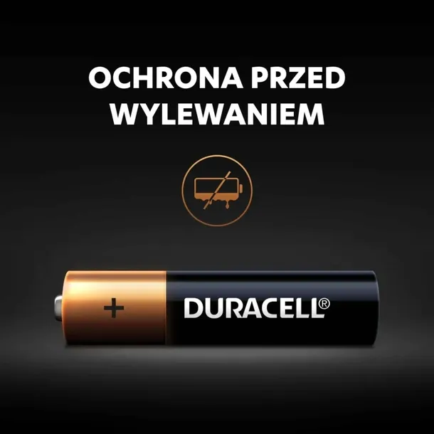 20x-baterie-alkaiczne-duracell-basic-aaa-lr03-symbol-baterii-aaa-r3