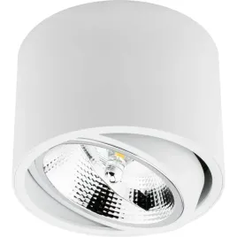 oprawa-natynkowa-lampa-sufitowa-tuba-spot-led-ar111-gu10-ruchoma-bialy