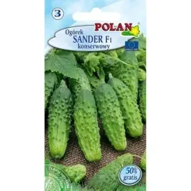 ogorek-sander-polan