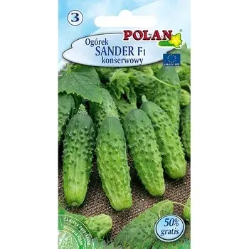 ogorek-sander-polan