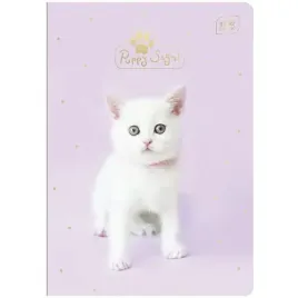 zeszyt-a5-32k-kolorowa-kratka-szkolny-miekki-mix