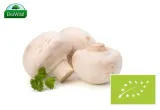 pieczarka-biala-bio-250g