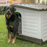dogvilla-110-buda-dla-psa