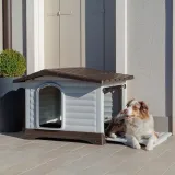 dogvilla-90-buda-dla-psa