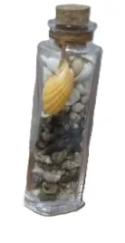butelka-z-muszelkami-mix-7502