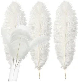 pioro-dekoracyjne-strusie-3szt-naturalne-biale-ozdobne-piorko-rekodzielo