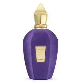 xerjoff-accento-woda-perfumowana-spray-100ml