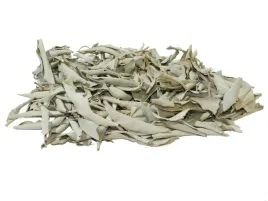 biala-szalwia-salvia-apina-jakosc-i-gatunek-25g