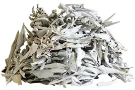 biala-szalwia-salvia-apina-jakosc-i-gatunek-10g