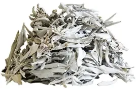 biala-szalwia-salvia-apina-wysoka-jakosc-100g