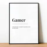 plakat-definicja-gamera