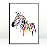 plakat-kolorowa-zebra