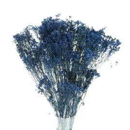 suszone-kwiaty-zarnowiec-broom-bloom-granatowy-bukiet