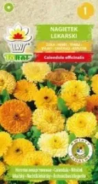 nagietek-lekarski-nasiona-1-g-wyjatkowe-ziolo