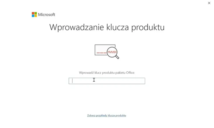 microsoft-office-2021-professional-plus-rodzaj-subskrypcja