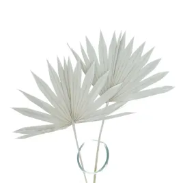 suszony-lisc-palmowy-szary-palm-sun